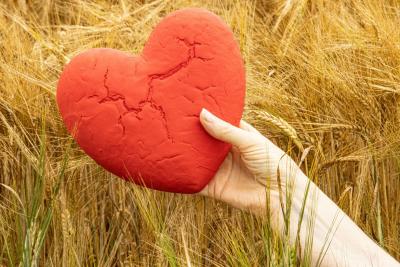 Akcje charytatywne Zielona Góra - Zdjęcie podglądowe artykułu